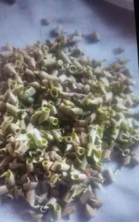 پیوند پسته تضمینی