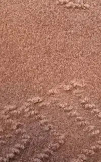 موکت