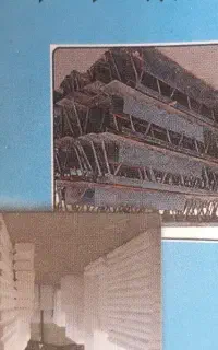 نگهبان شب