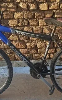 دوچرخه