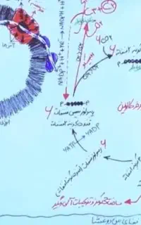 تدریس و مشاوره کنکور به صورت تضمینی