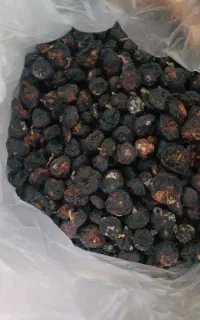 انجیر درجه 2