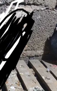 زاغ کلافه