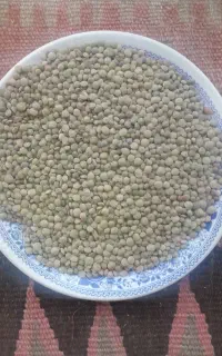 عدس محلی تهم
