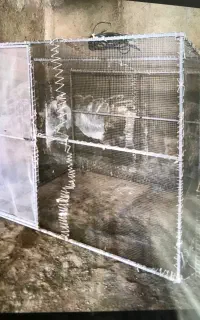 قفس بزرگ وسالم