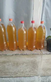آبغوره خانگی شهرستان