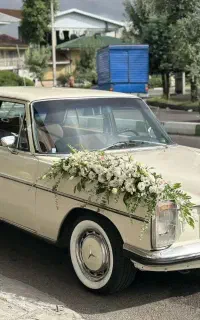 اجاره ماشین عروس و فرمالیته
