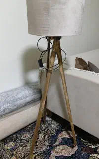 آباژور ایستاده