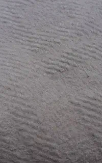 موکت دسته دو