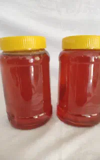 عسل درجه یک بهاره