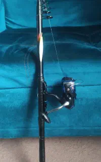 کاسی وکاسی لنس