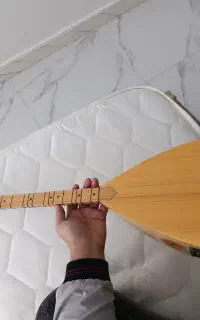 باغلامای ایلماز اکولایز