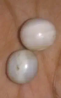 مهره برد اصلی