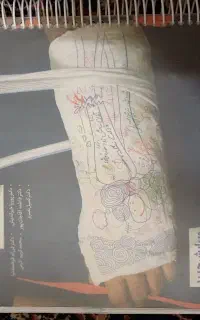 زیست یازدهم خیلی سبز