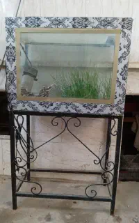 فروش آکواریوم