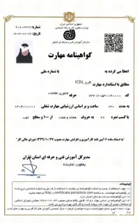 مدرک فنی حرفه ای / دیپلم کارشناسی لیسانس/سرتیفیکیت