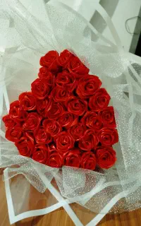 گل روبانی ماندگار