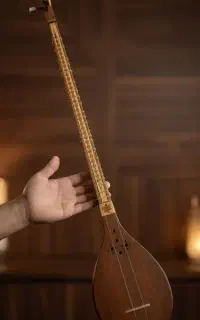 سه تار
