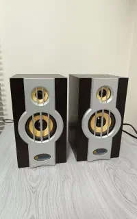 اسپیکر دو تکه چارستون