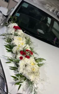 دیزاین ماشین عروس
