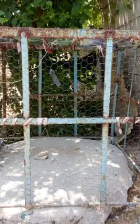 قفسه