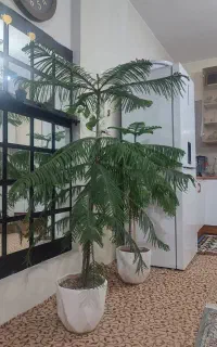 گل طبیعی