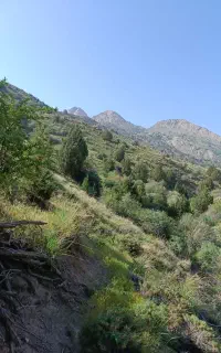 تور طبیعت گردی