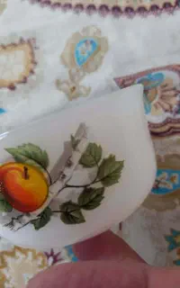 سرویس ارکوپال فرانسوی