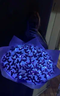 گل روبانی و پروانه ای(LID)