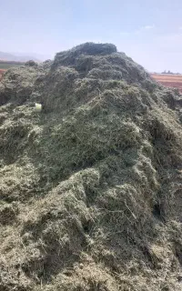 یونجه کوبیده