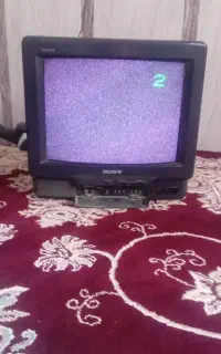 تلویزیون ۱۴