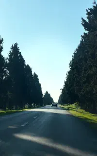 ارشدروانشناسی بالینی جویای کار