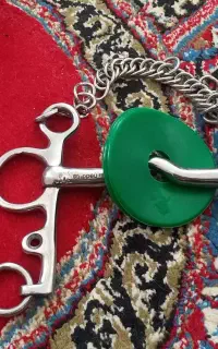 دهنه هویزه اسب