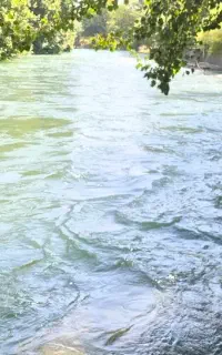 تور یک روزه آبشار گیان