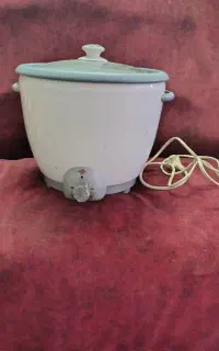 شده