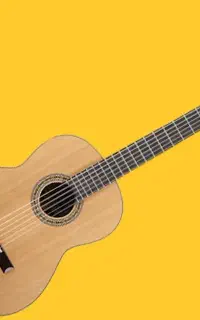 آموزش تخصصی گیتار و آواز پاپ