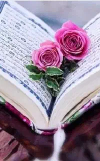 خانمی هستم ک ختم قرآن صلوات زیارت عاشورا نماز