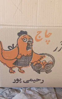 کارگر مرغداری تخم گذار