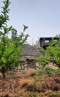 نیازمند کارگر