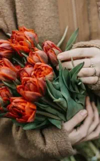 استخدام منشی خانم