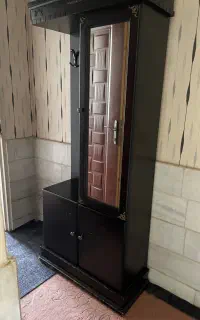 جاکفشی قهوه ای