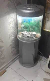 اکواریوم