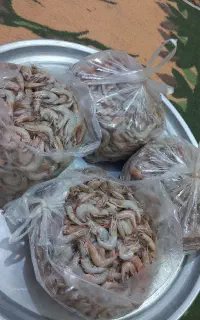 پاک کردن میگو