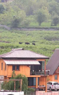 سرایدار و امور داخلی مخصوص خانواده