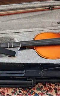 ویولن