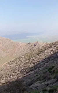موسیر کوهی