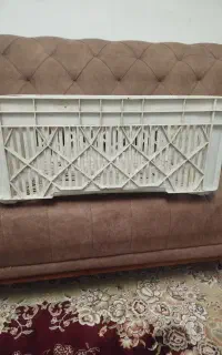سبدمرغی