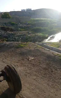 نیازمند یک چوپان هستم