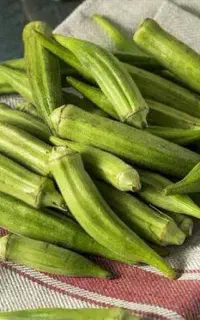 فروش بامیه