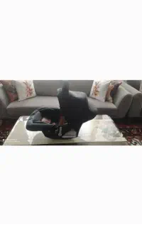 کریر و وان حمام و صندلی غذا